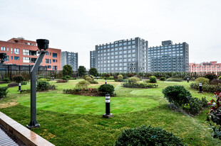 城市中的绿地与建筑景观