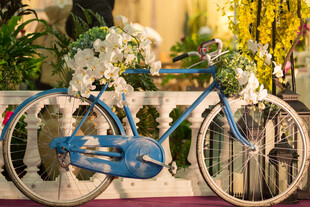 复古蓝单车配浪漫花卉装饰