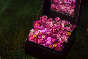 繁花满盒 绽放绚烂色彩