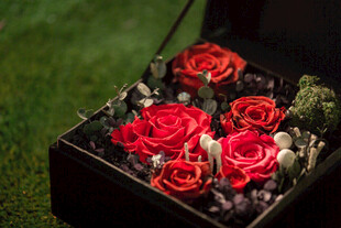 红玫瑰礼盒 浪漫之选