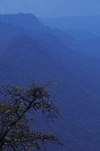 蓝调山间孤树景色