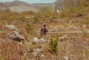 荒野中的孤独身影