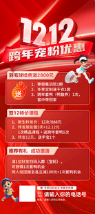 双12羽毛球