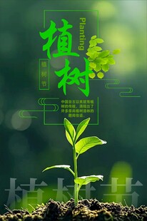 新生树苗
