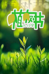 绿意盎然的植物世界