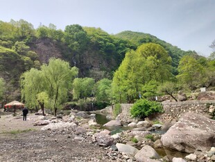 山间溪流旁的自然景致