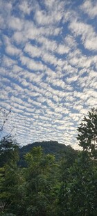 天空云层与林间景致