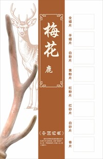 鹿鹿