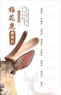 鹿
