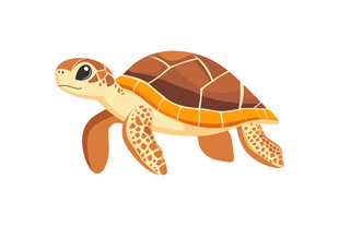 可爱卡通海龟