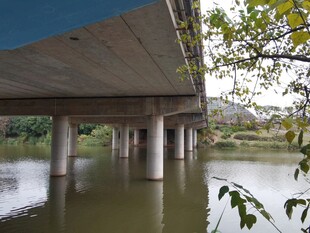 河畔桥梁近景