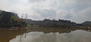 宁静湖畔风光