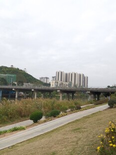 城郊风景远处高楼与绿地