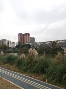 城郊公路旁的自然与建筑景观