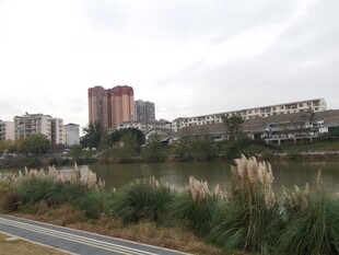 城市河畔景观