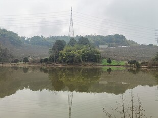 宁静乡村湖泊风光
