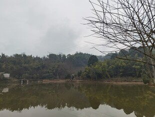 宁静湖边景