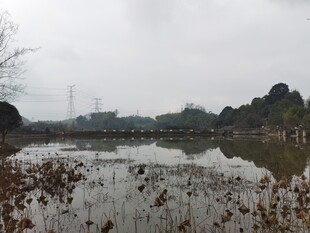 雾霭中的宁静湖面景色