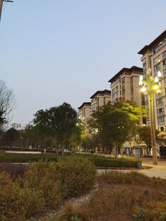 小区优美的傍晚景致