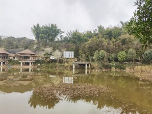 湖畔小屋静谧水乡景致