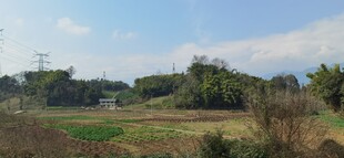 田野风光自然景致宜人