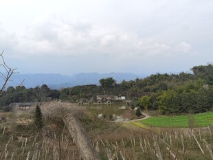 山间田野风光