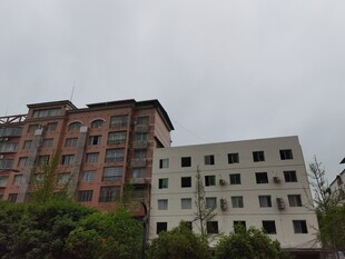 老旧楼房与绿树景观