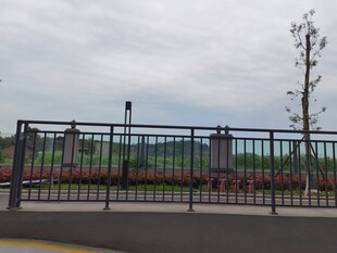 户外铁艺围栏景观
