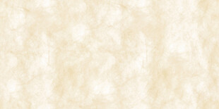 米黄色杜邦纸贴图