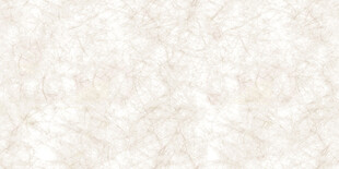 米白色杜邦纸贴图