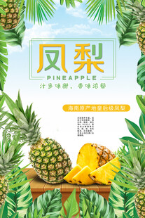 凤梨