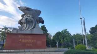 广东省中山市东升镇脆肉鲩雕塑