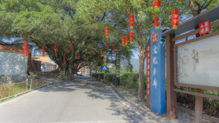 古村街道 传统景致