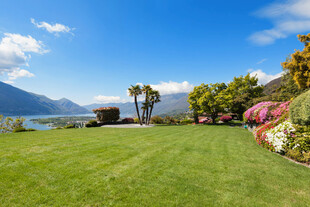 美丽湖畔绿草地景观