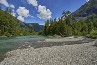 山间蓝河与葱郁林木景观