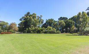 翠绿草地与葱郁林木景观
