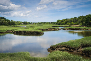 宁静河畔田园风光