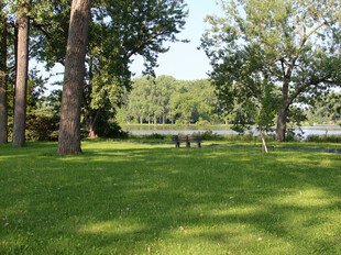 绿意盎然的户外草地风景
