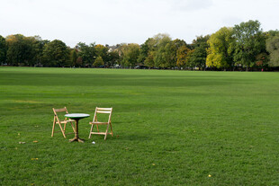 草坪上的桌椅组合