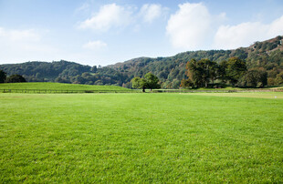 广袤绿草地与远山美景