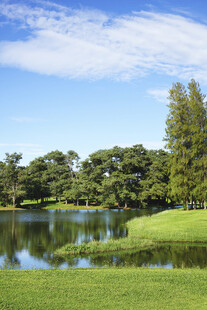 湖畔绿草如茵的自然美景