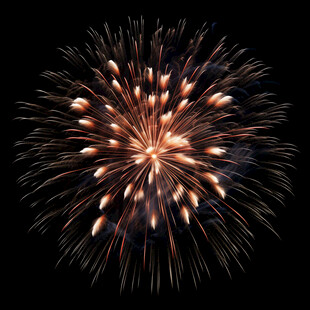 绚丽烟花绽放夜空