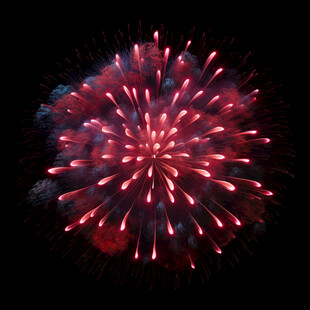 绚丽烟花绽放夜空