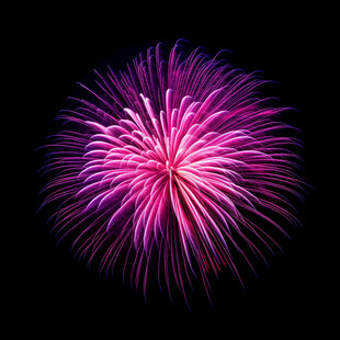 绚丽紫色烟花绽放夜空