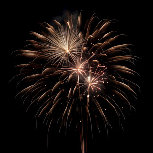 夜空中绚烂绽放的烟花