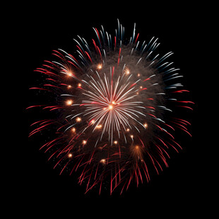 绚丽烟花绽放夜空