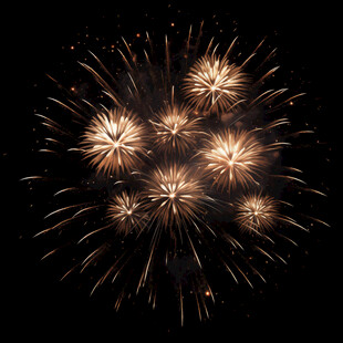 璀璨烟花绽放夜空