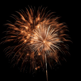 夜空中绚烂的烟花绽放