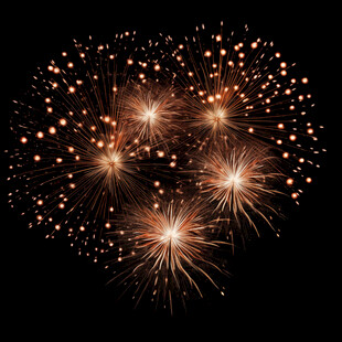 绚丽烟花绽放黑色夜空