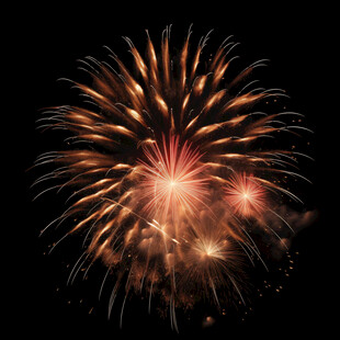 绚丽烟花绽放夜空